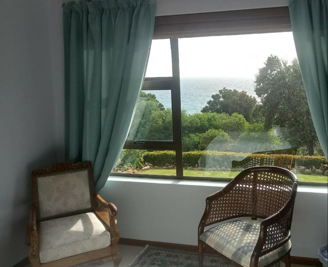 Froggy Bay Is The Best All The Way! Simonʼs Town Esterno foto