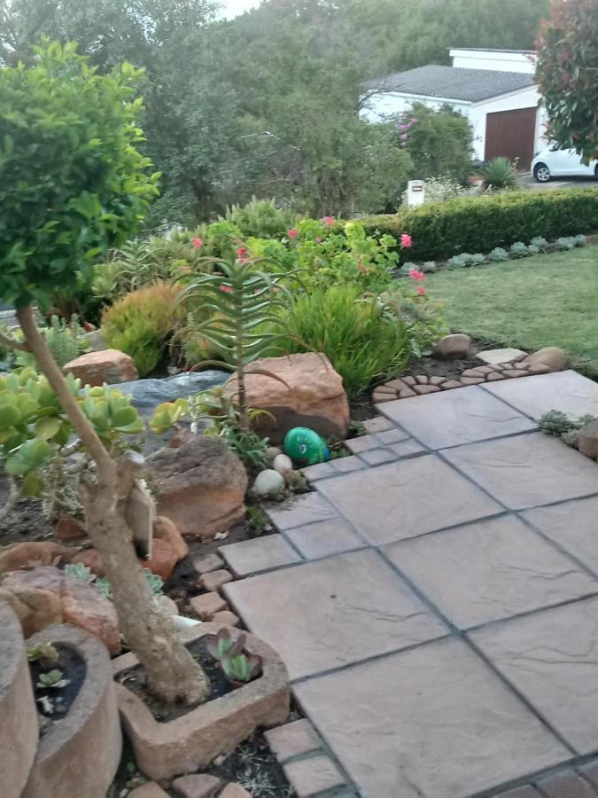 Froggy Bay Is The Best All The Way! Simonʼs Town Esterno foto