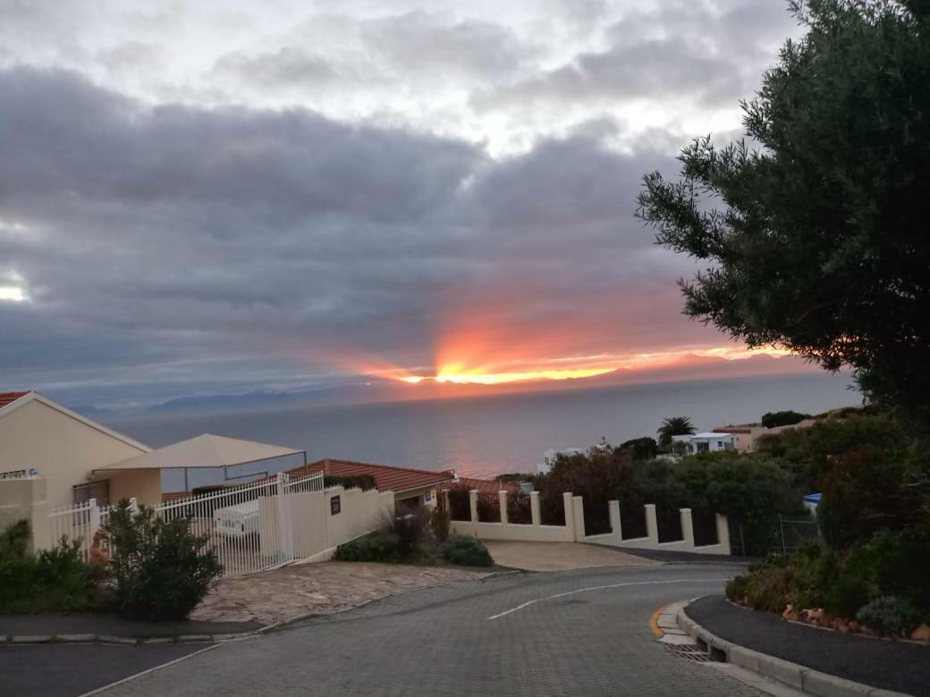Froggy Bay Is The Best All The Way! Simonʼs Town Esterno foto